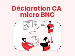 Déclaration du chiffre d'affaires en micro BNC